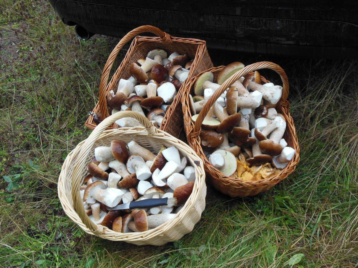 Gaestrum Gnottnehult Osterbymo Esterno foto